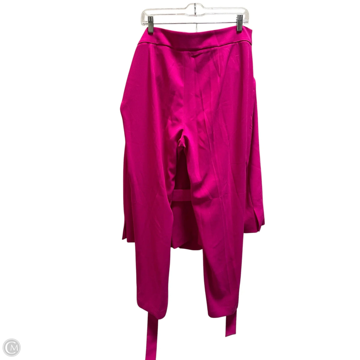 Pants Set 2pc By Zara In Pink, Size: 2x