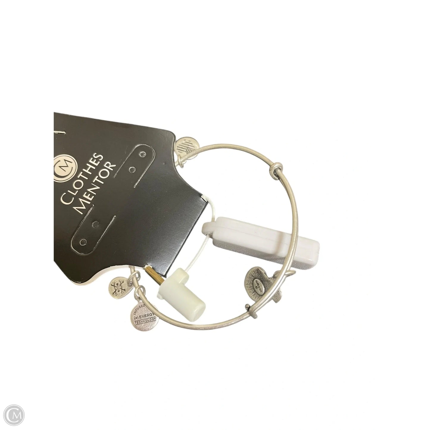 Bracelet Charm By Alex And Ani