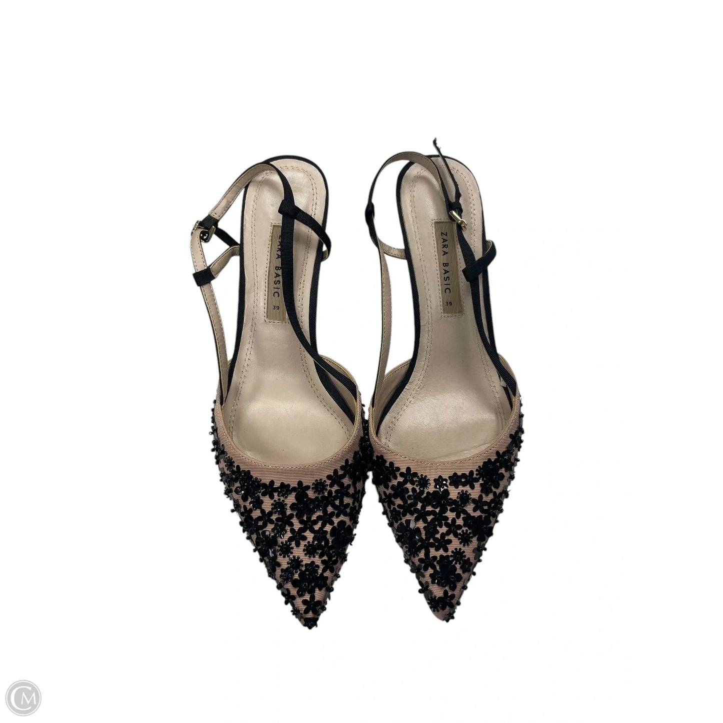 Shoes Heels Kitten By Zara In Black, Size: 8.5