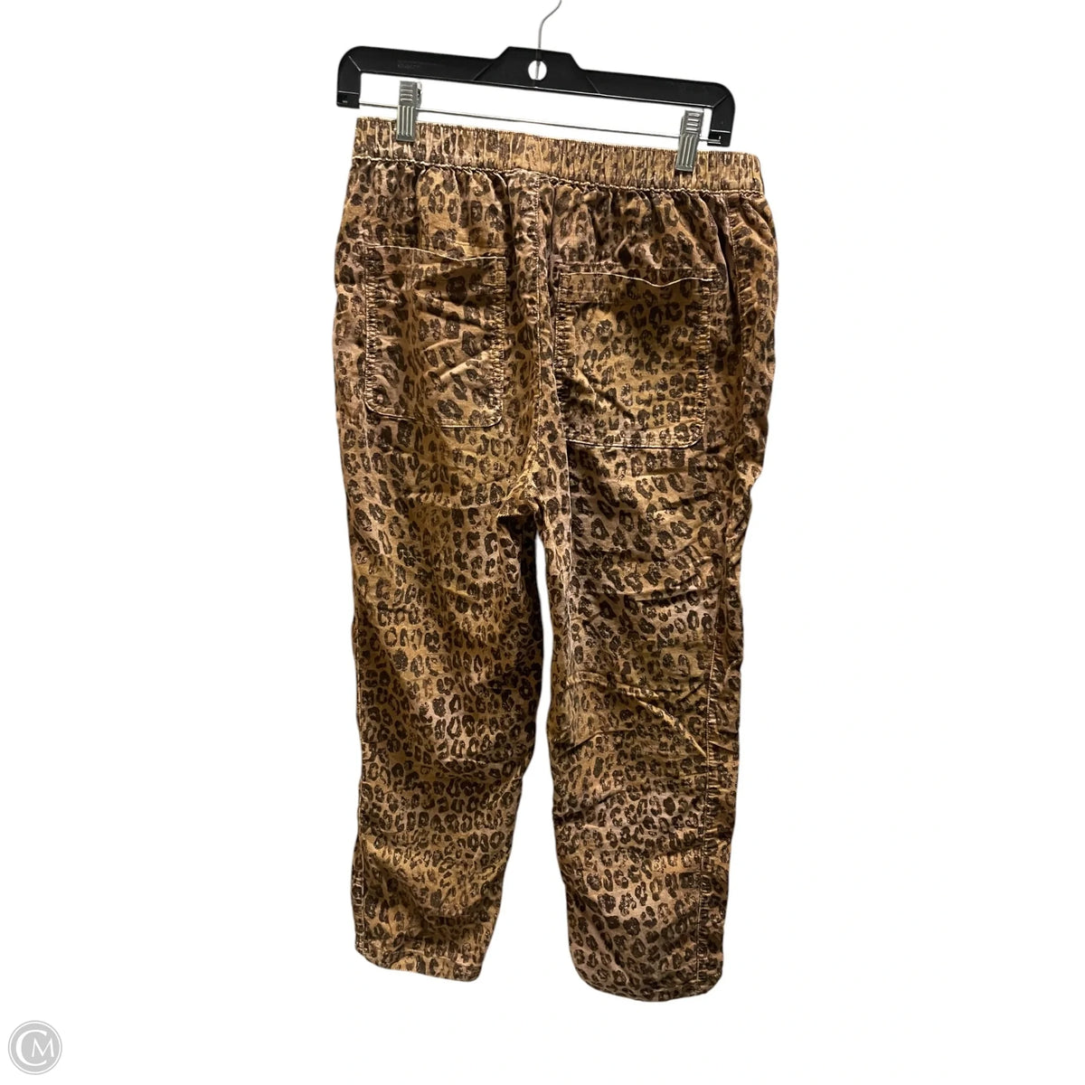 Pants Other By Pilcro In Animal Print, Size: S