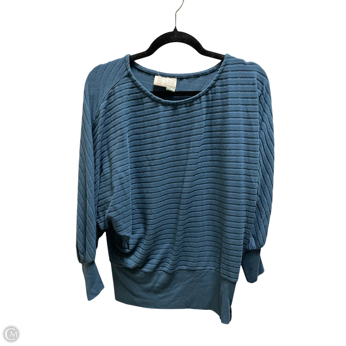 Top Long Sleeve By Saturday/sunday In Blue, Size: Xs