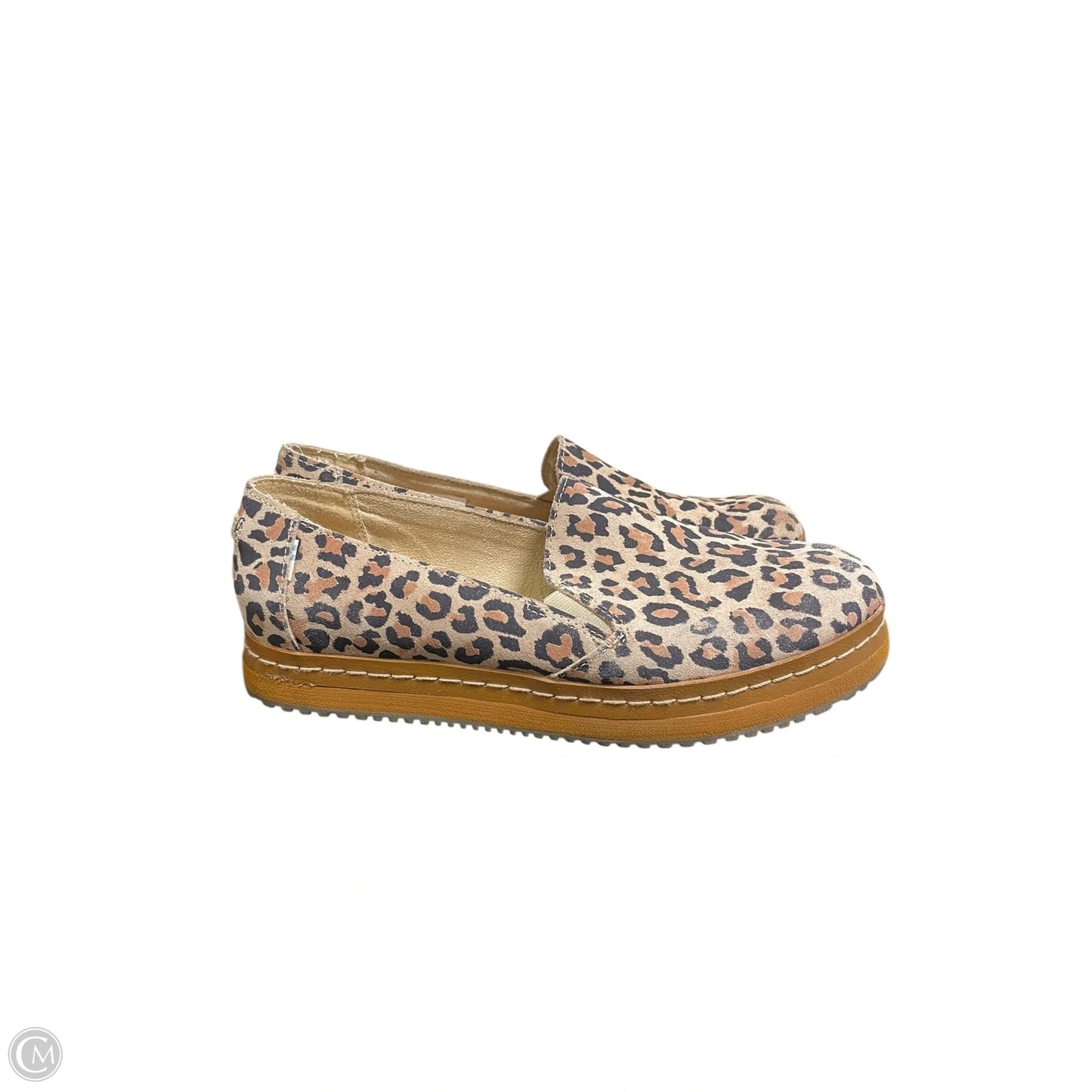 Shoes Flats By Toms In Animal Print, Size: 8