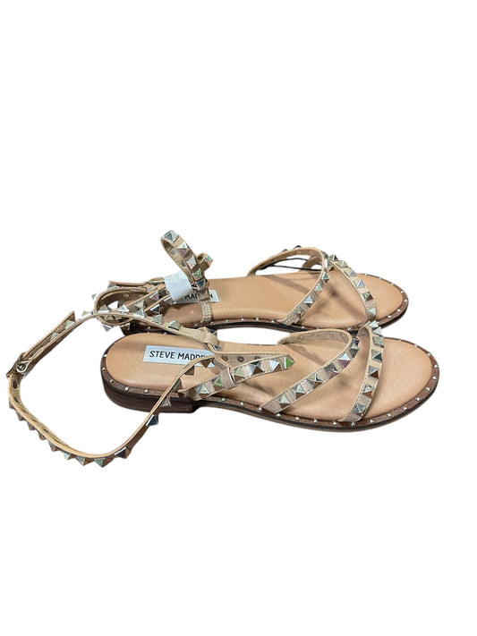 Sandals Flats By Steve Madden  Size: 6.5