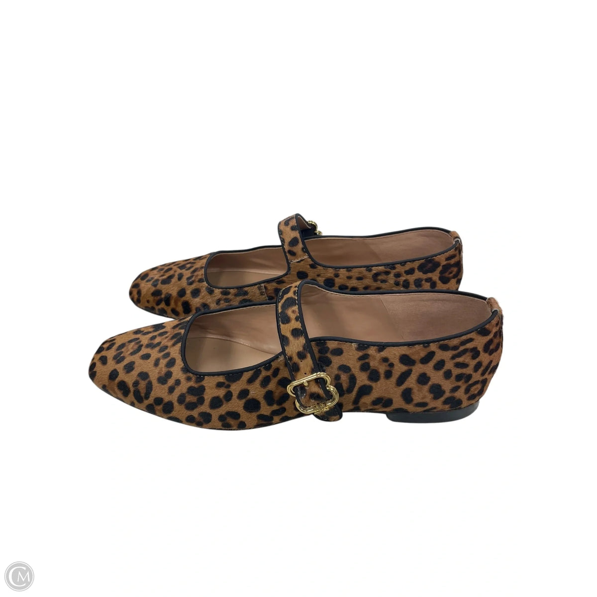 Shoes Flats By Sam Edelman In Animal Print, Size: 10