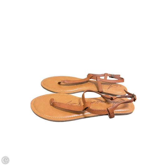 Sandals Flats By American Rag In Brown, Size: 7.5
