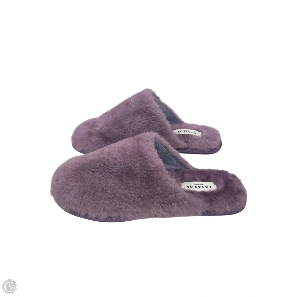 Shoes Designer By Coach In Purple, Size: 7